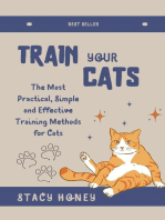 Train Your Cat: The Most Practical, Simple and Effective Training Methods for Cats