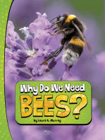 Why Do We Need Bees?