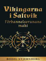 Vikingarna i Saltvik: Förbannelserunans makt