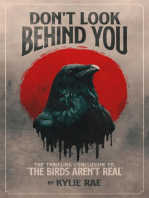 Don't Look Behind You: The Birds Aren't Real