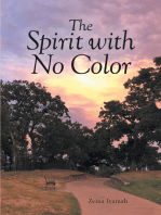 The Spirit with No Color