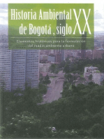Historia Ambiental de Bogotá Siglo XXI