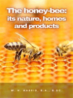 The honey-bee