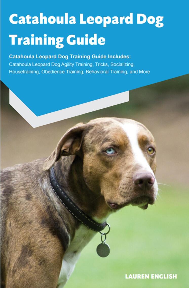 Catahoula Leopard Dog Training Guide Catahoula Leopard Dog Training ...