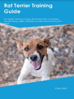 Rat Terrier Training Guide Rat Terrier Training Includes