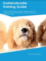 Goldendoodle Training Guide Goldendoodle Training Includes: Goldendoodle Tricks, Socializing, Housetraining, Agility, Obedience, Behavioral  Training, and More