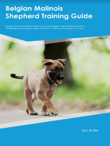 Kennel Building and Management by Mario Migliorini (Ebook) Read