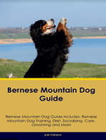 Bernese Mountain Dog Guide Bernese Mountain Dog Guide Includes: Bernese Mountain Dog Training, Diet, Socializing, Care, Grooming, and More