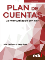 Plan de cuentas: Contextualizado con NIIF 2023