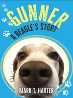 Gunner, a beagle's story