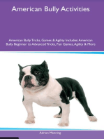 American Bully Activities American Bully Tricks, Games & Agility Includes: American Bully Beginner to Advanced Tricks, Fun Games, Agility and  More