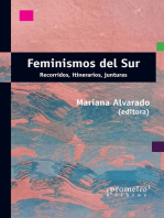 Feminismos del sur: Recorridos, itinerarios, junturas