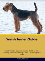 Welsh Terrier Guide Welsh Terrier Guide Includes: Welsh Terrier Training, Diet, Socializing, Care, Grooming, and More