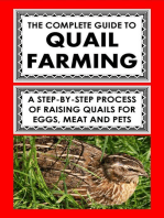 The Complete Guide To Quail Farming