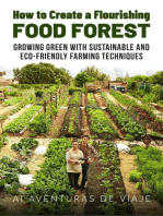 How to Create a Flourishing Food Forest: Sustainable Living