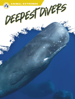 Deepest Divers
