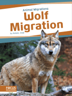 Wolf Migration