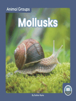 Mollusks