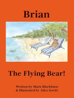 Brian The Flying Bear!