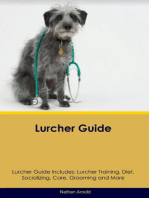 Lurcher Guide Lurcher Guide Includes: Lurcher Training, Diet, Socializing,  Care, Grooming, and More
