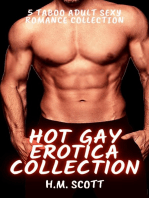 Hot Gay Erotica Collection: 5 Taboo Adult Sexy Romance Collection