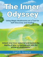 The Inner Odyssey