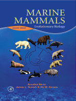 Marine Mammals