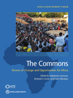 The Commons: Drivers of Change and Opportunities for Africa