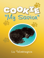 Cookie "My Savior"