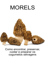 Morels