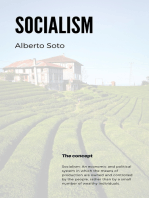 Socialism: Is it viable?