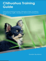 Chihuahua Training Guide Chihuahua Training Includes: Chihuahua Tricks, Socializing, Housetraining, Agility, Obedience, Behavioral Training, and  More