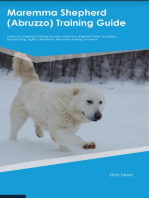 Maremma Shepherd (Abruzzo) Training Guide Maremma Shepherd Training Includes: Maremma Shepherd Tricks, Socializing, Housetraining, Agility, Obedience, Behavioral  Training, and More