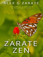 Zarate Zen - Colorful Captures & Positive Posts