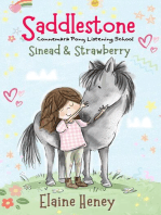 Saddlestone Connemara Pony Listening School | Sinead and Strawberry: Saddlestone Connemara Pony Listening School