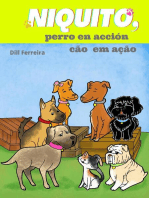 Niquito, perro en acción - Cão em Ação