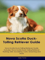 Nova Scotia Duck-Tolling Retriever Guide Nova Scotia Duck-Tolling Retriever Guide Includes: Nova Scotia Duck-Tolling Retriever Training, Diet, Socializing, Care,  Grooming, and More