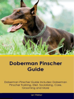 Doberman Pinscher Guide Doberman Pinscher Guide Includes: Doberman Pinscher Training, Diet, Socializing, Care, Grooming, and More