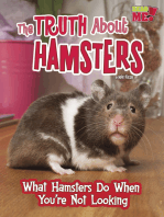 The Truth about Hamsters: What Hamsters Do When You're Not Looking