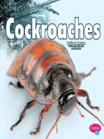 Cockroaches