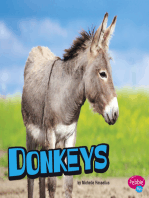 Donkeys