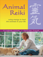 Animal Reiki