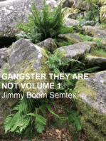 Gangster They Are Not Volume 1