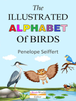 The Illustrated Alphabet of Birds