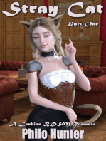 Stray Cat Part One a Lesbian Bdsm Romance