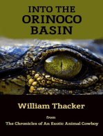 Into the Orinoco Basin