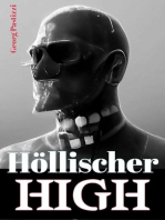 Höllischer High: Überlebens LitRPG Ranobe Trilogie, #2