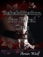 Rehabilitation for Feral Cats