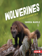 Wolverines: Nature's Cleanup Crew