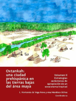 Oxtankah: una ciudad prehispánica en las tierras bajas del área maya: Volumen II. Estrategias autóctonas de apropiación de un ecosistema tropical